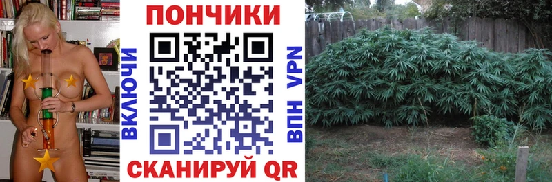 Бошки Шишки семена  где купить наркоту  Дедовск 